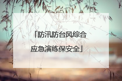 防汛防台风综合应急演练保安全