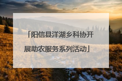 阳信县洋湖乡科协开展助农服务系列活动
