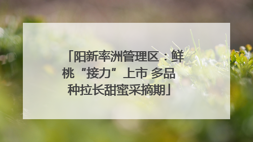 阳新率洲管理区：鲜桃“接力”上市 多品种拉长甜蜜采摘期
