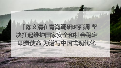 陈文清在青海调研时强调 坚决扛起维护国家安全和社会稳定职责使命 为谱写中国式现代化青海篇章贡献政法力量