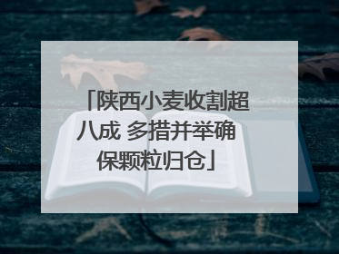 陕西小麦收割超八成 多措并举确保颗粒归仓