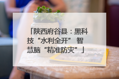 陕西府谷县：黑科技“水利全开” 智慧脑“精准防灾”
