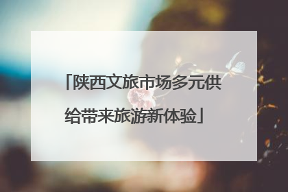陕西文旅市场多元供给带来旅游新体验