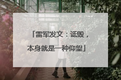 雷军发文：诋毁，本身就是一种仰望