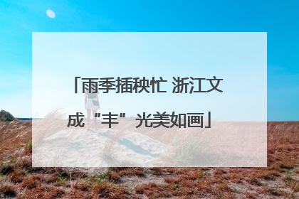 雨季插秧忙 浙江文成“丰”光美如画