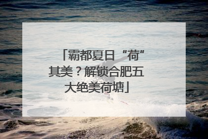 霸都夏日“荷”其美？解锁合肥五大绝美荷塘