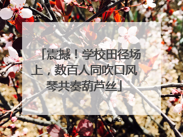 震撼！学校田径场上，数百人同吹口风琴共奏葫芦丝