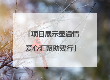 项目展示显温情 爱心汇聚助残行