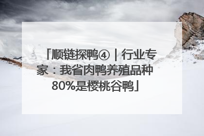 顺链探鸭④｜行业专家：我省肉鸭养殖品种80%是樱桃谷鸭