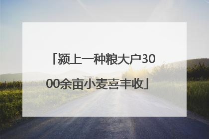 颍上一种粮大户3000余亩小麦喜丰收