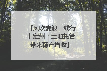 风吹麦浪一线行丨定州：土地托管带来稳产增收