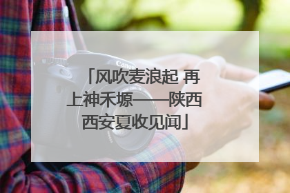 风吹麦浪起 再上神禾塬——陕西西安夏收见闻