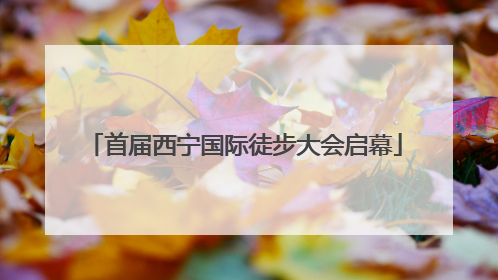 首届西宁国际徒步大会启幕