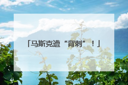 马斯克遭“背刺”！