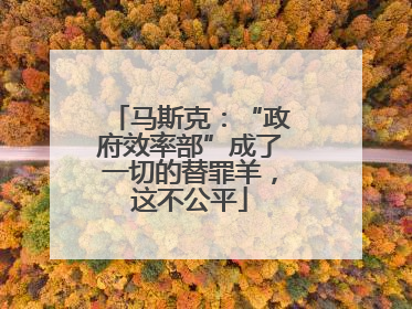 马斯克：“政府效率部”成了一切的替罪羊，这不公平