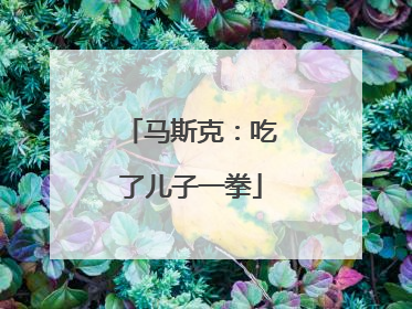 马斯克：吃了儿子一拳