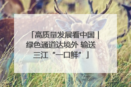 高质量发展看中国｜绿色通道达境外 输送三江“一口鲜”