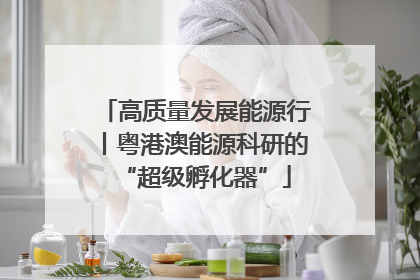 高质量发展能源行丨粤港澳能源科研的“超级孵化器”