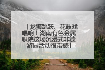 龙狮跳跃、花鼓戏唱响！湖南有色金属职院这场沉浸式非遗游园活动很带感