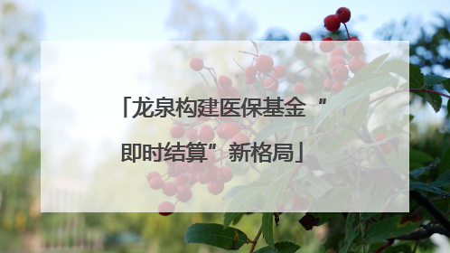 龙泉构建医保基金“即时结算”新格局