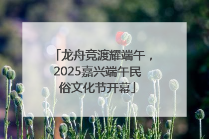 龙舟竞渡耀端午，2025嘉兴端午民俗文化节开幕