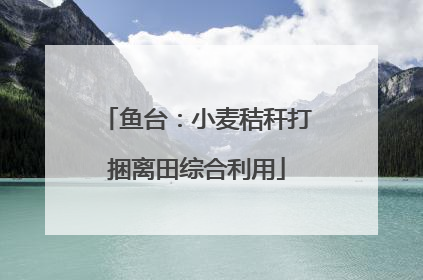 鱼台：小麦秸秆打捆离田综合利用