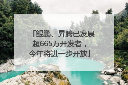 鲲鹏、昇腾已发展超665万开发者，今年将进一步开放