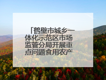 鹤壁市城乡一体化示范区市场监管分局开展重点问题食用农产品专项整治
