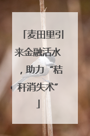 麦田里引来金融活水，助力“秸秆消失术”