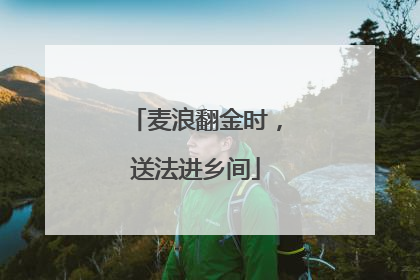 麦浪翻金时，送法进乡间