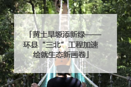 黄土旱塬添新绿——环县“三北”工程加速绘就生态新画卷