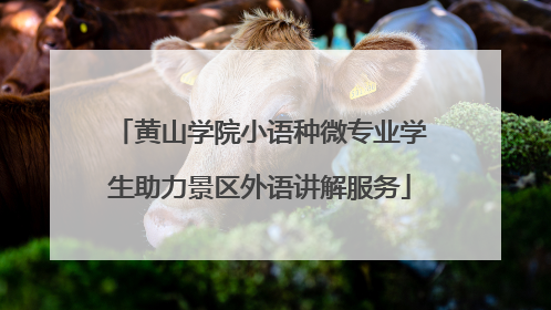黄山学院小语种微专业学生助力景区外语讲解服务