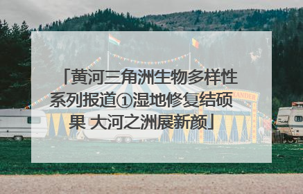黄河三角洲生物多样性系列报道①湿地修复结硕果 大河之洲展新颜