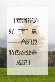 黄河岸边好“丰”景——合阳县特色农业养成记