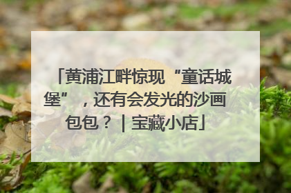 黄浦江畔惊现“童话城堡”，还有会发光的沙画包包？｜宝藏小店