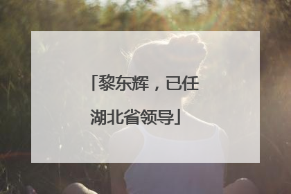 黎东辉，已任湖北省领导