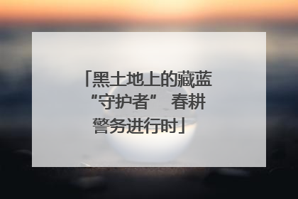黑土地上的藏蓝“守护者” 春耕警务进行时