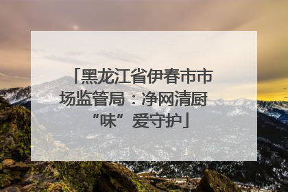 黑龙江省伊春市市场监管局：净网清厨 “味”爱守护