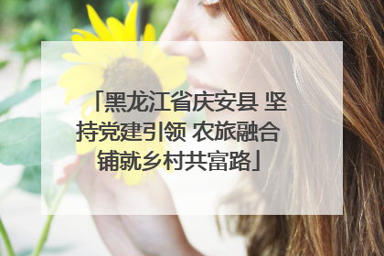黑龙江省庆安县 坚持党建引领 农旅融合铺就乡村共富路