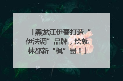 黑龙江伊春打造“伊法调”品牌，绘就林都新“枫”景！
