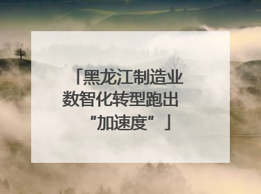 黑龙江制造业数智化转型跑出“加速度”