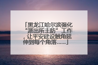 黑龙江哈尔滨强化“派出所主防”工作，让平安建设触角延伸到每个角落……