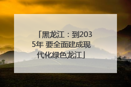 黑龙江：到2035年 要全面建成现代化绿色龙江