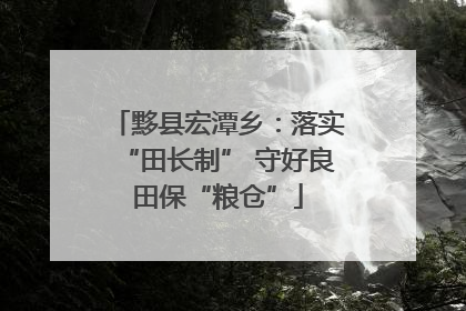 黟县宏潭乡：落实“田长制” 守好良田保“粮仓”