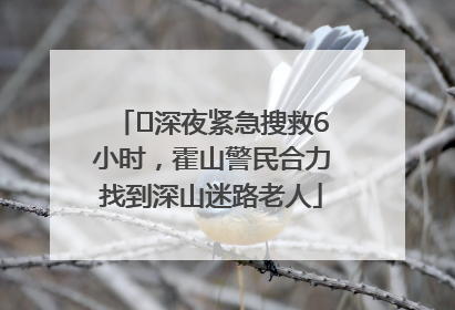 ﻿深夜紧急搜救6小时，霍山警民合力找到深山迷路老人