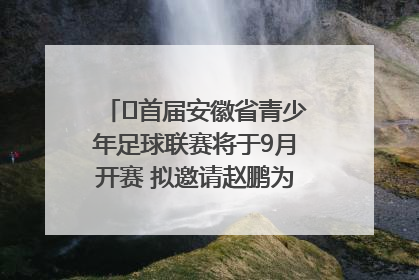 ﻿首届安徽省青少年足球联赛将于9月开赛 拟邀请赵鹏为先导赛开球