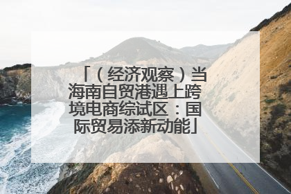 （经济观察）当海南自贸港遇上跨境电商综试区：国际贸易添新动能