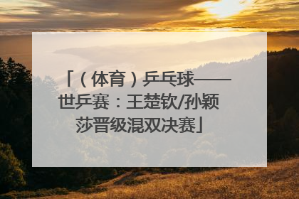 （体育）乒乓球——世乒赛：王楚钦/孙颖莎晋级混双决赛