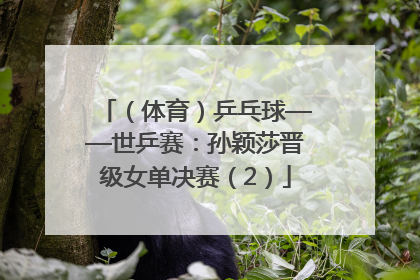 （体育）乒乓球——世乒赛：孙颖莎晋级女单决赛（2）