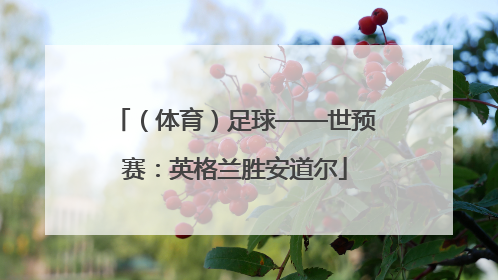 （体育）足球——世预赛：英格兰胜安道尔